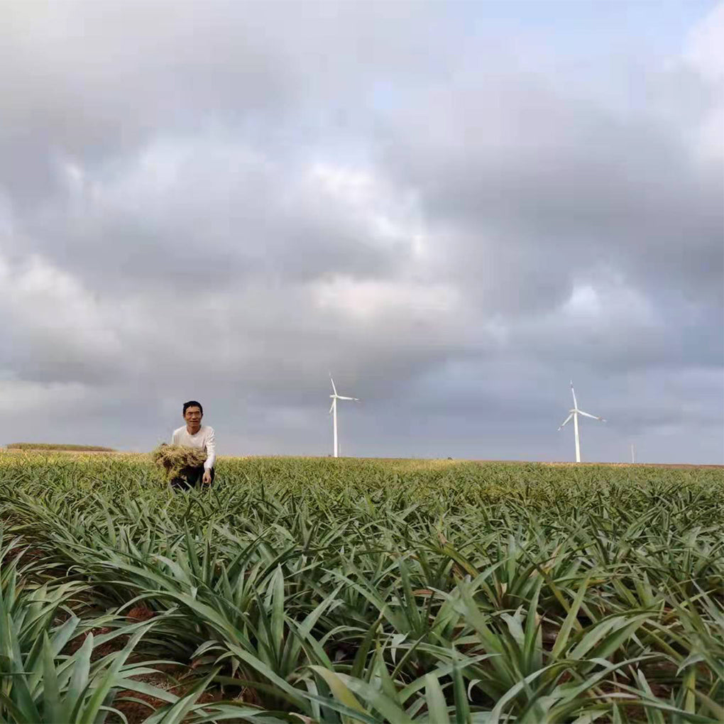 🧵 The Truth About Vegan Leather: What to Look For (And Avoid)